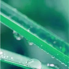 篮球队选拔流程_篮球队县队选拔规则_篮球队选人标准